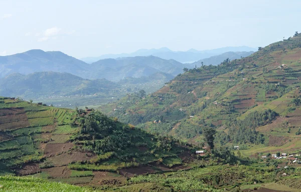 Virunga Mountains in Uganda — Stock Photo, Image
