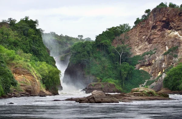 stock image Pictorial view of the Murchison Falls