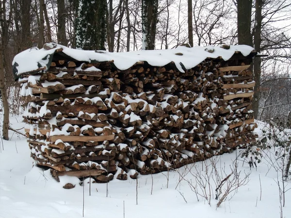 Sneeuw bedekt gestapelde hout — Stockfoto