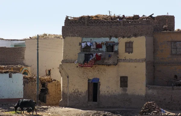 Casa pobre no Egito — Fotografia de Stock