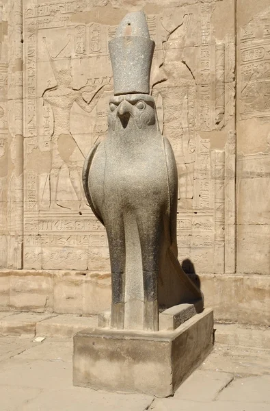 Horus heykelin Mısır edfu Tapınağı — Stok fotoğraf