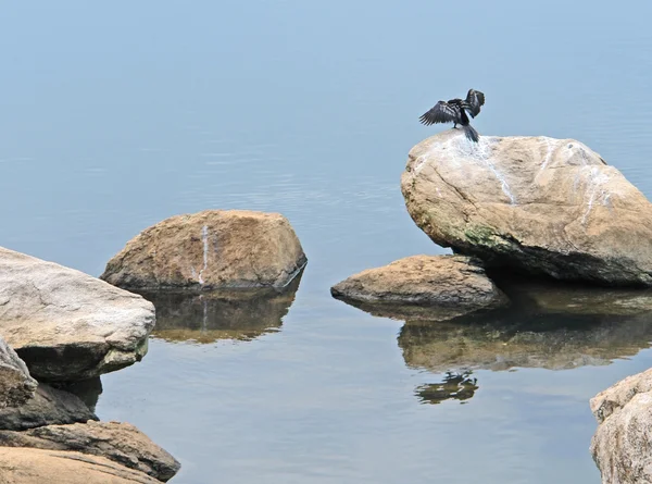 水辺の雰囲気の中で石にアフリカ ダーツを投げる人 — ストック写真