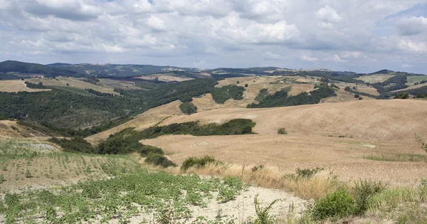 stock image Tuscany landscape