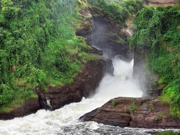 默奇森瀑布在乌干达 — 图库照片