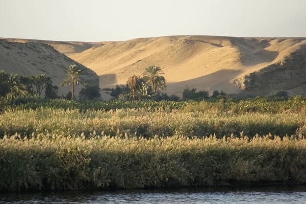 Cenário do rio Nilo à noite — Fotografia de Stock