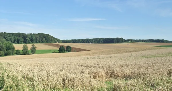 Landsbygdslandskap i Hohenlohe — Stockfoto