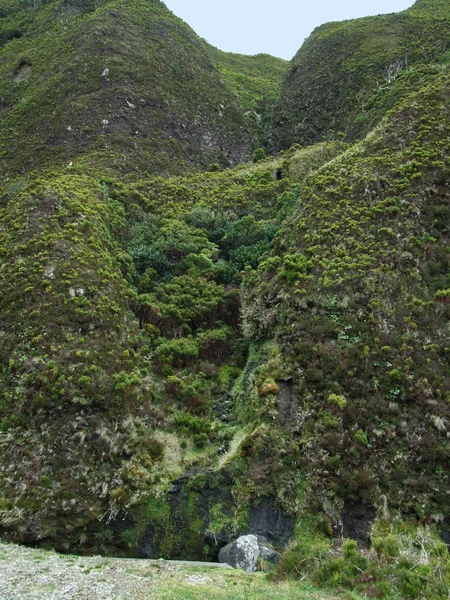Kuperat landskap i Azorerna — Stockfoto