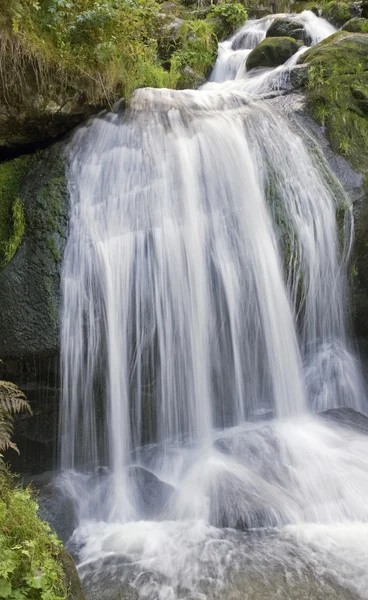 Idyllic Triberg Waterfalls — Stock Photo, Image
