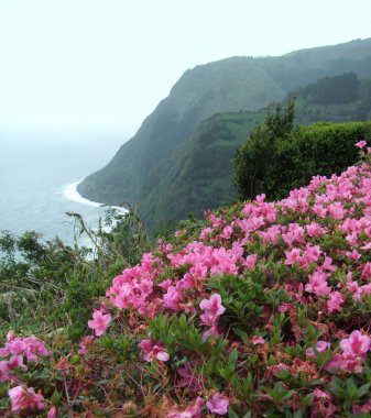 Azores coastal scenery clipart