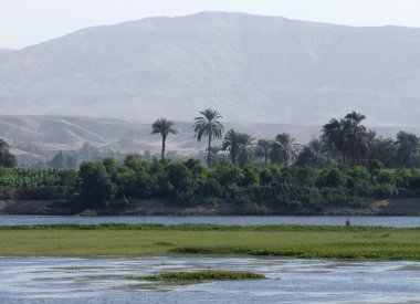 Egyptian Nile coast scenery clipart