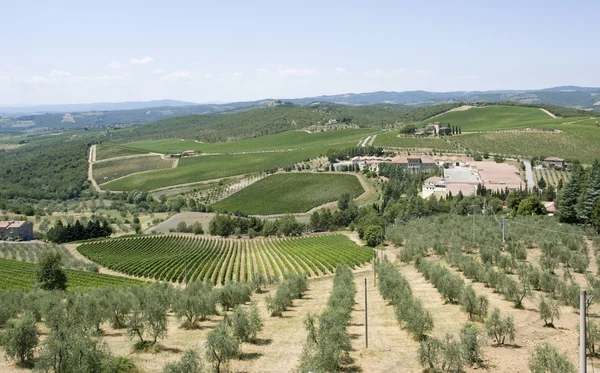 Chianti en Toscana —  Fotos de Stock