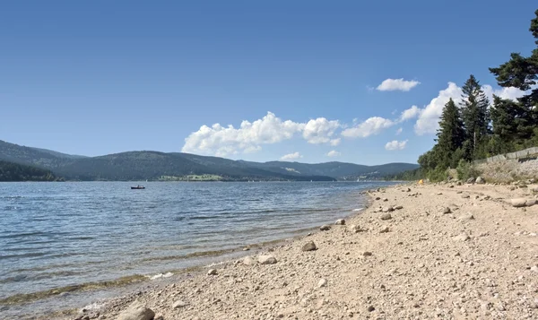 Сонячний Schluchsee-Біч — стокове фото