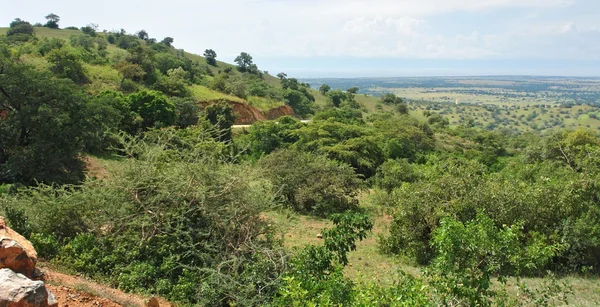 Östafrikanska gravsänkesystemet i uganda — Stockfoto