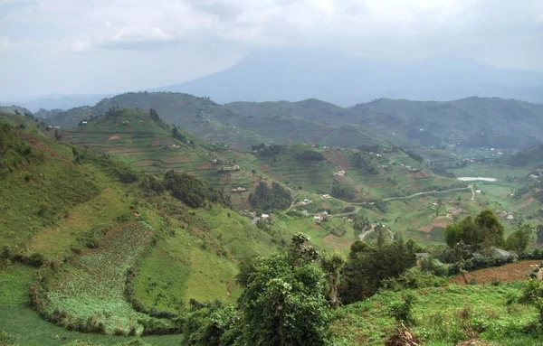 Pohoří Virunga v bouřlivé atmosféře — Stock fotografie