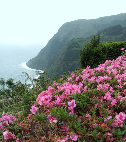 Paisaje costero de las Azores —  Fotos de Stock