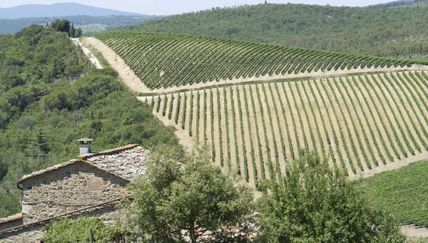Chianti in Tuscany — Stock Photo, Image