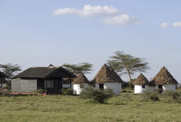 Жилой дом Момелы в Африке — стоковое фото