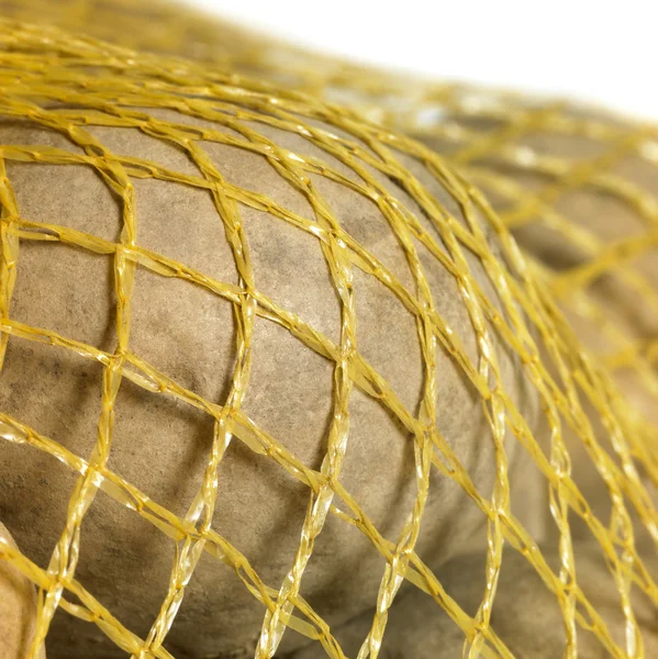 Potatoes in a net — Stock Photo, Image