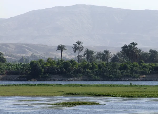 Egyptiska Nilen kusten landskap — Stockfoto