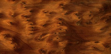 Brown burl wood detail clipart