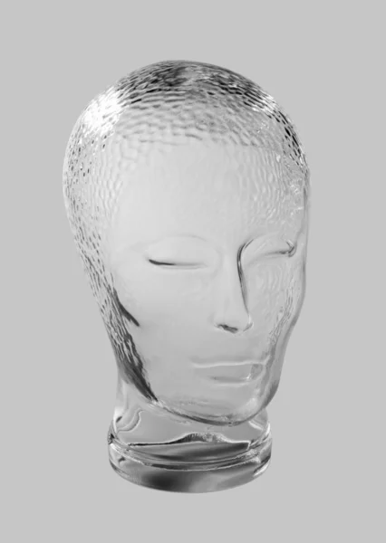 stock image Glass head profile