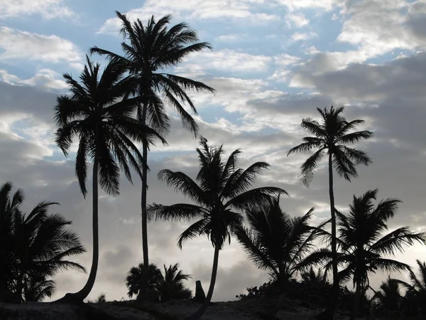 Carribean evening scenery — Stock Photo, Image