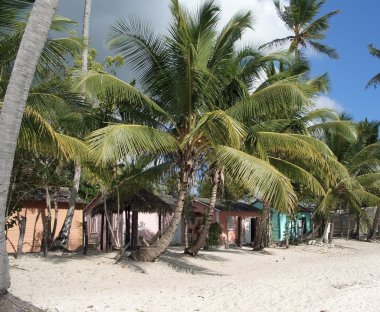 Dominican Republic beach scenery clipart