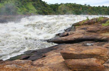 Whitewater at the Murchison Falls clipart