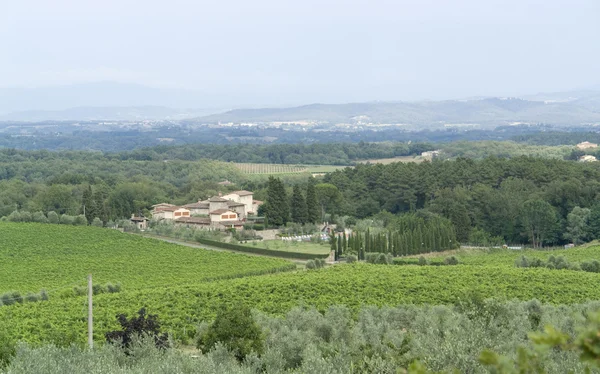 Chianti en Toscana —  Fotos de Stock