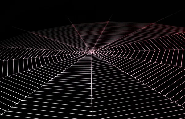Bemaltes Spinnennetz — Stockfoto