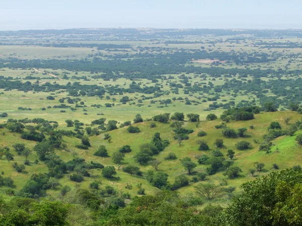 Vue aérienne de la réserve faunique de Kabwoya — Photo