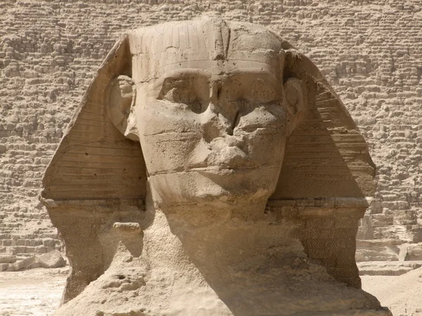 Frontal Sphinx — стоковое фото