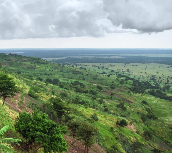 Parque Nacional Rainha Elizabeth em Uganda — Fotografia de Stock