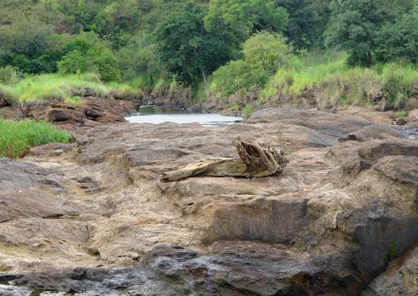 Around Murchison Falls in Africa — Stock Photo, Image