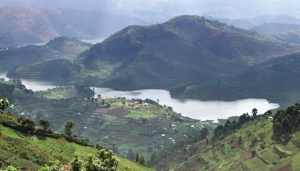 stock image Virunga Mountains in Uganda