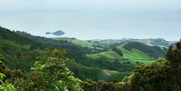 Paisagem costeira nos Açores — Fotografia de Stock