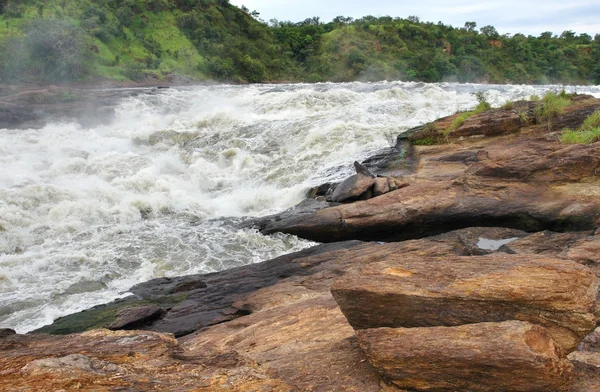 stock image Whitewater at the Murchison Falls