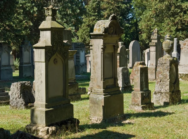 Judisk kyrkogård i solig miljö — Stockfoto