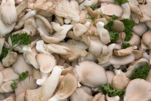 Background with mushrooms and parsley — Stock Photo, Image