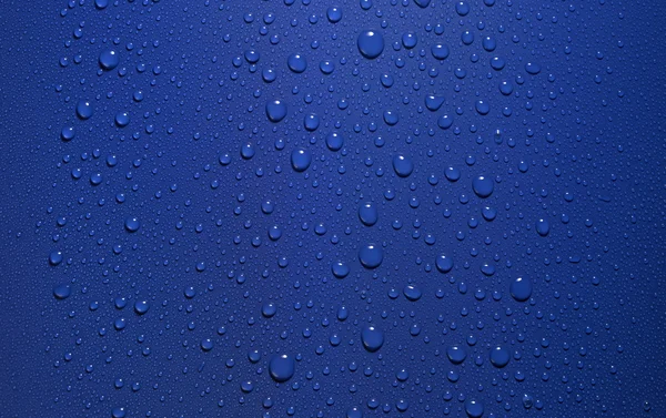 Dew in blue back — Stock Photo, Image