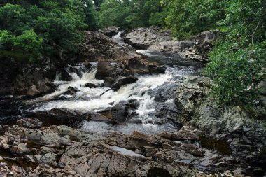 Small scottish stream at summer time clipart