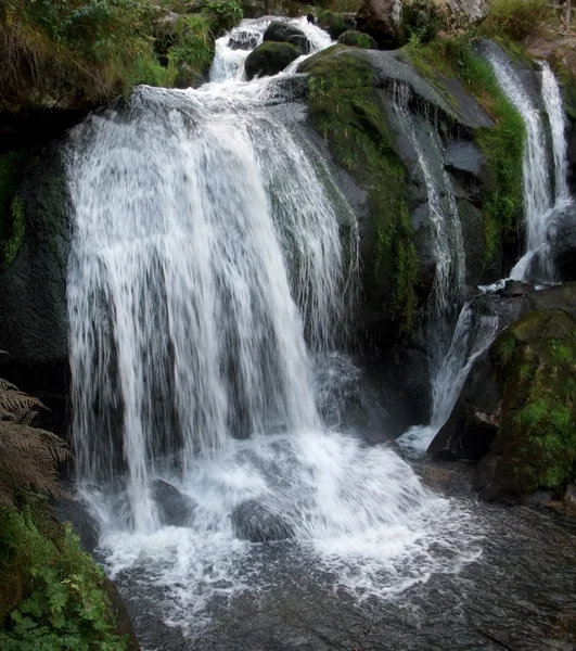 特里贝格瀑布在黑森林 — 图库照片
