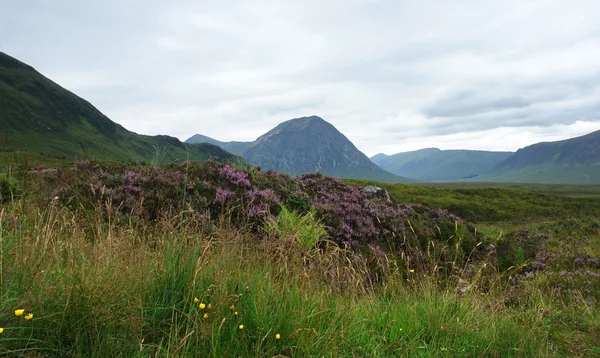 Buachaille Etive Mor in cloudy ambiance — Stock Photo, Image