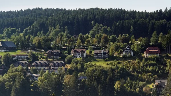 Пейзажи Шварцвальда с домами — стоковое фото