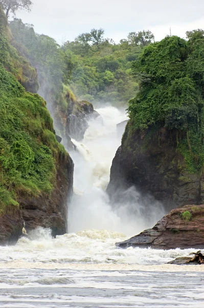 Murchison Falls în Uganda — Fotografie, imagine de stoc
