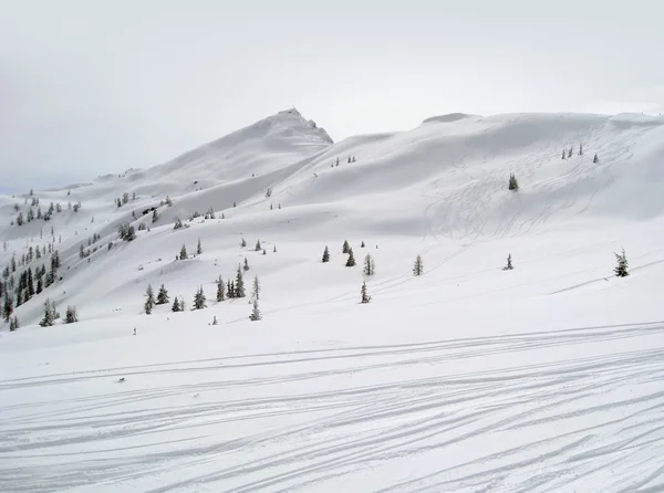 Skidor pisten i wagrain — Stockfoto