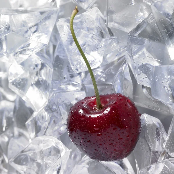 Red cherry on ice — Stock Photo, Image
