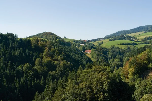 Hügelige Schwarzwald-Landschaft — Stockfoto