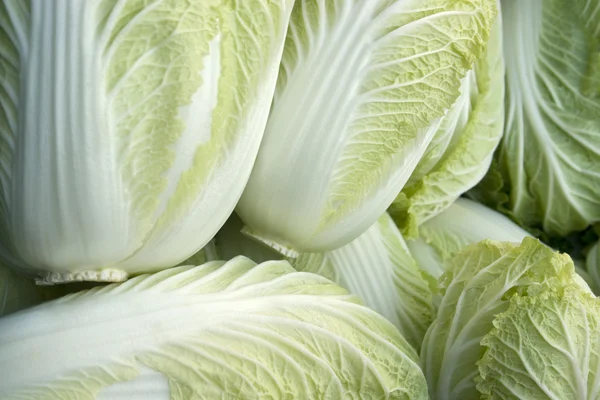 Full frame lettuce background — Stock Photo, Image