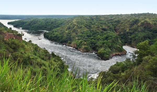 Murchison Falls panoramic view — Stock Photo, Image